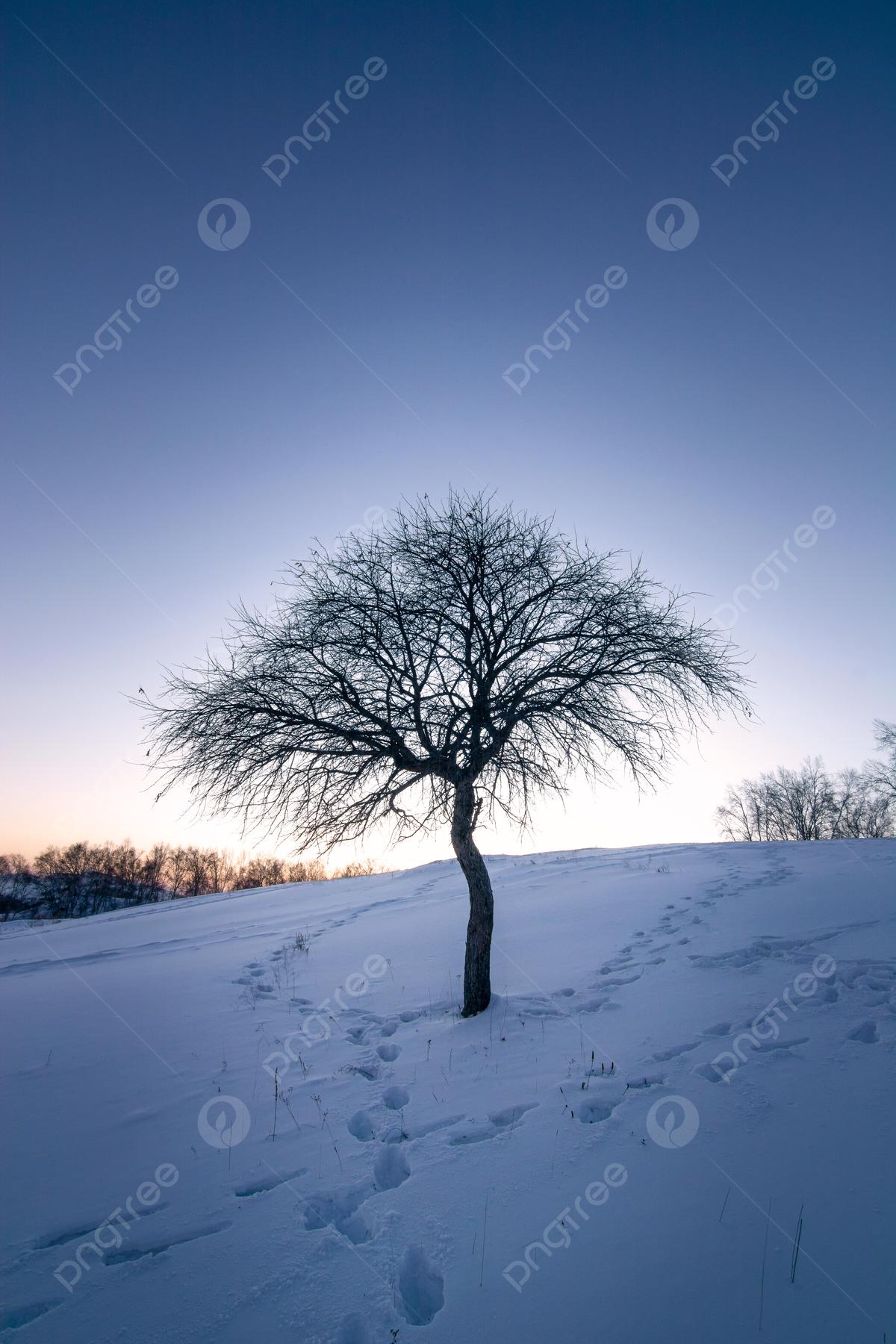 Зимний большой холодный снег силуэт Фон И картинка для бесплатной загрузки  - Pngtree