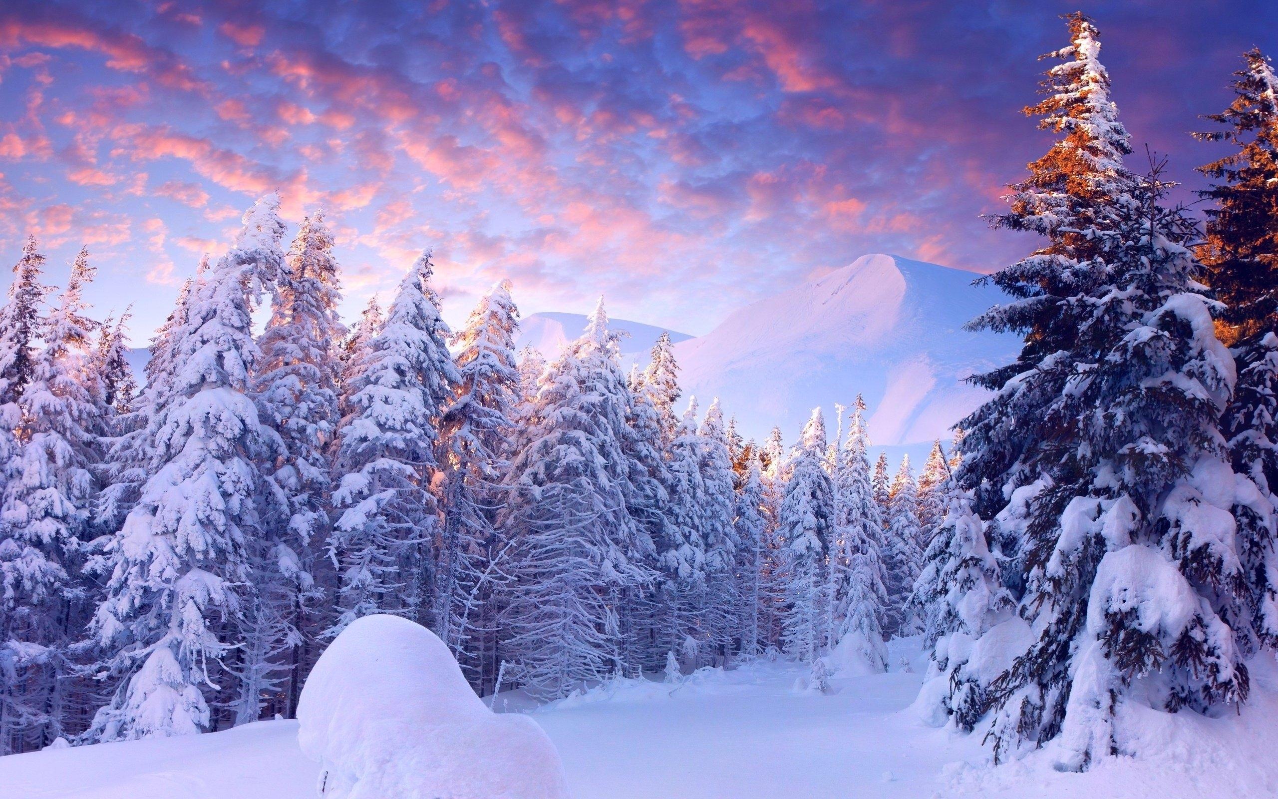 Картинка на рабочий стол облака, пейзажи, природа, зимние обои, склоны,  фото, зима, деревья, снег 1920 x 1080