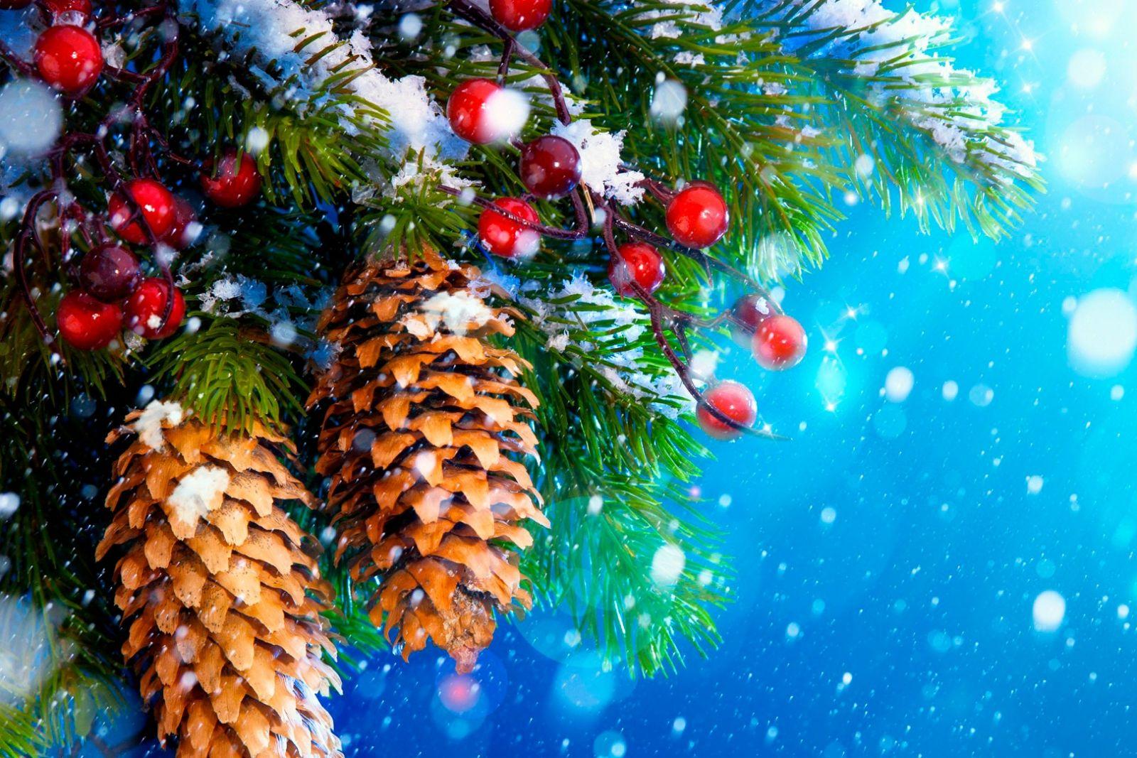 Обои на рабочий стол - зима, Новый Год 2021 с символом года |  Рождественские каникулы, Рождественские идеи, Зимние каникулы