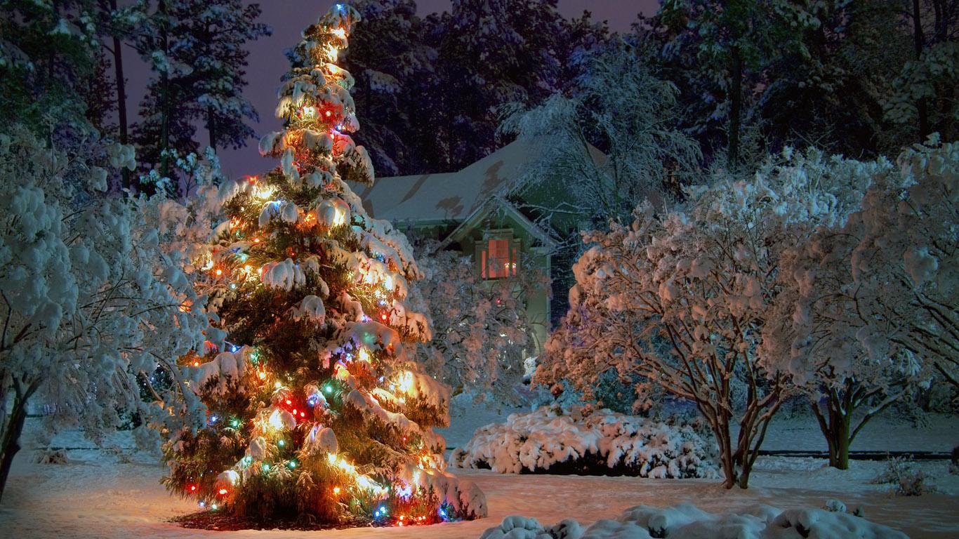 Лес, елки, зима, новый год, украшения, подсветка обои для рабочего стола,  картинки, фото, 1280x1024.
