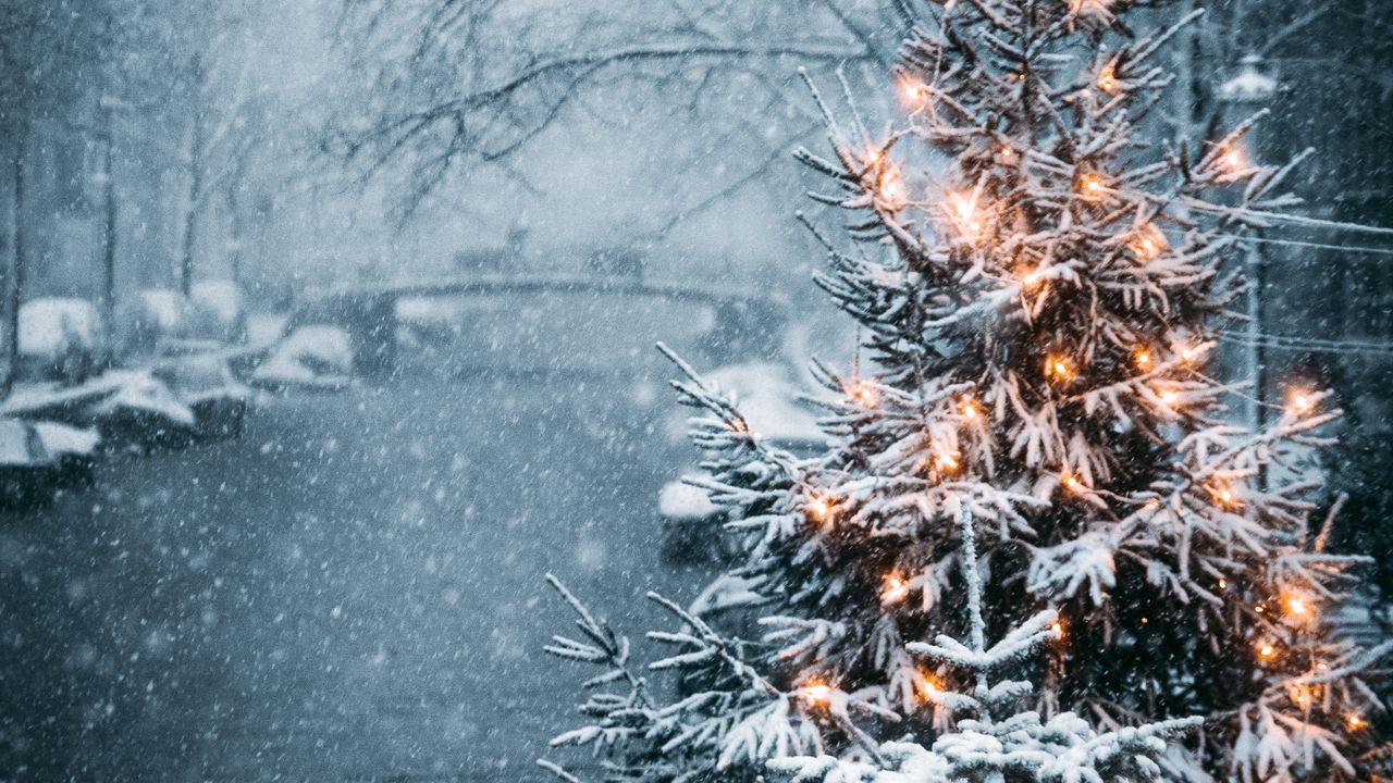 Обои елка, гирлянды, снег, зима, новый год картинки на рабочий стол, фото  скачать бесплатно