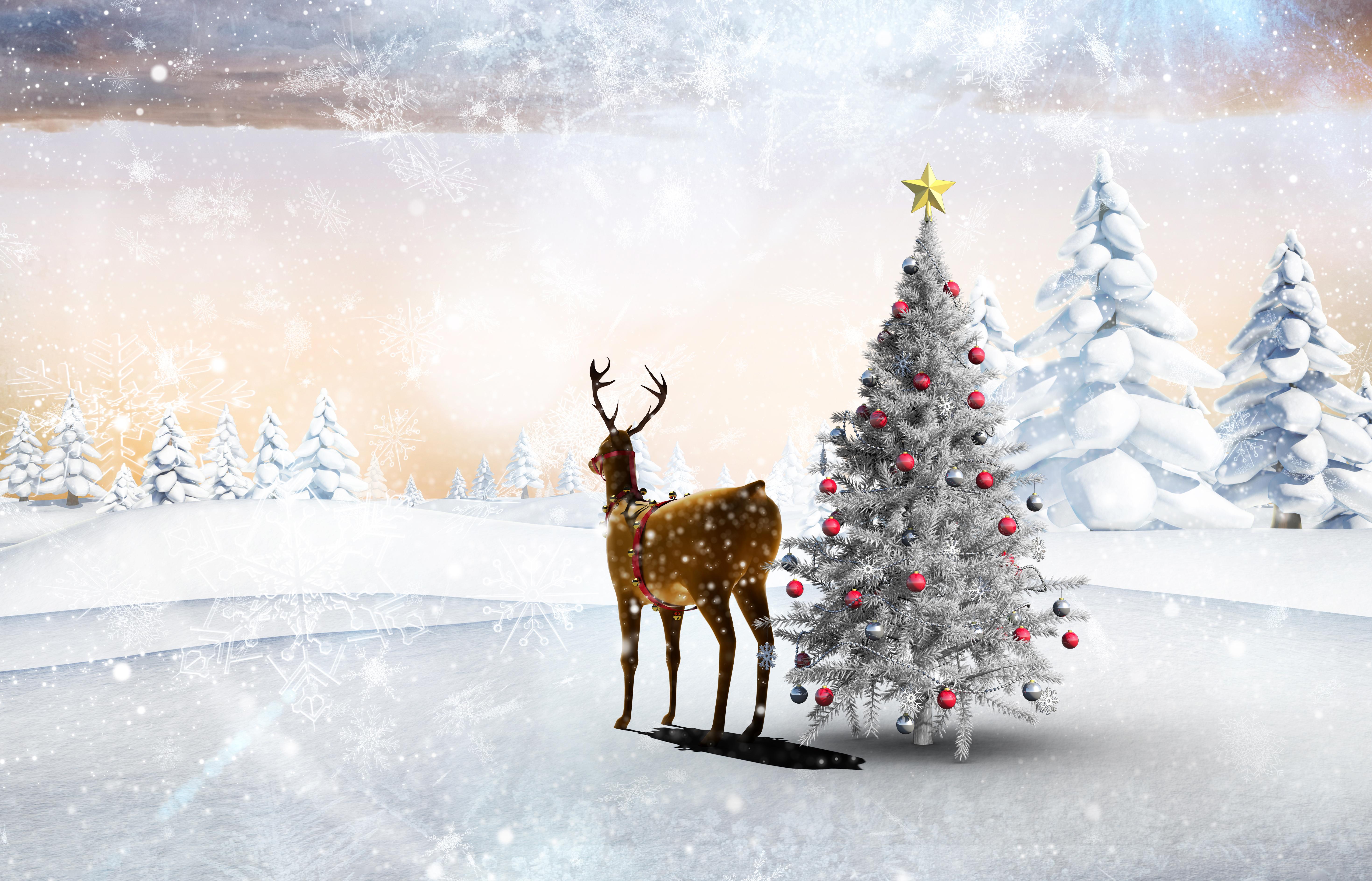 Обои на рабочий стол: Зима, Праздники, Рождество (Christmas Xmas), Новый Год  (New Year) - скачать картинку на ПК бесплатно № 14118