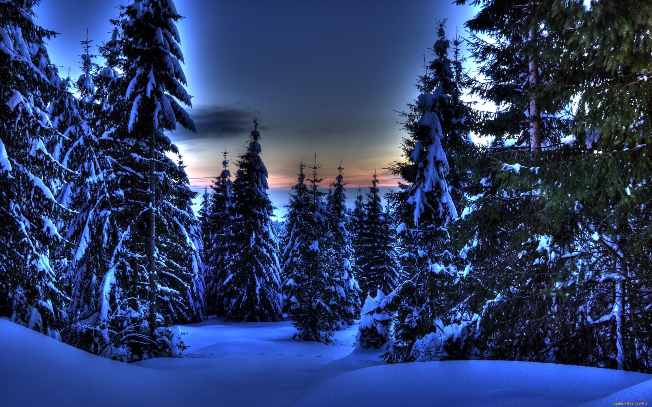 Картинки вода, горы, деревья, зима, красивые, небо, природа, снег,  широкоформатные - обои 1600x900, картинка №128888