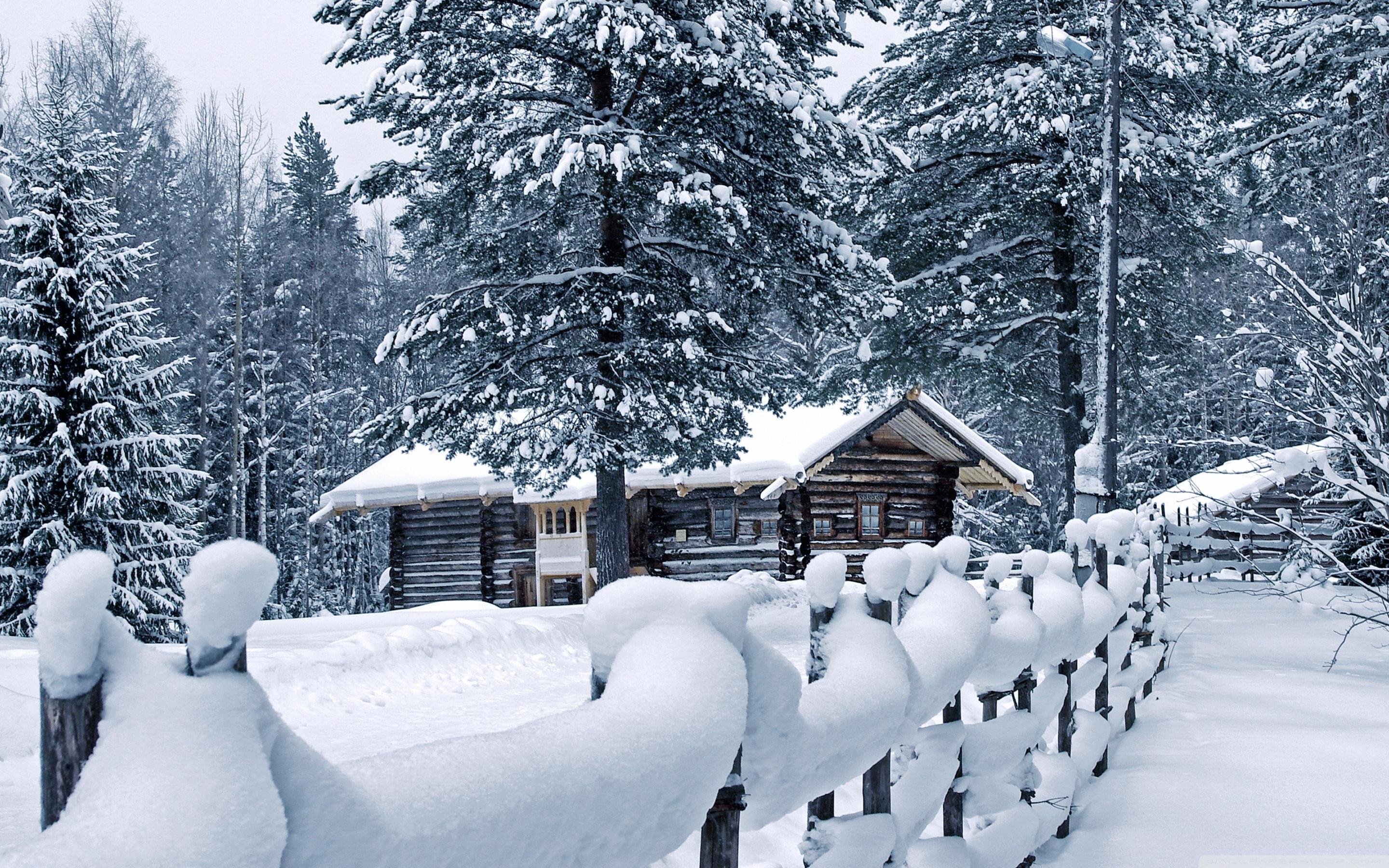 Деревня зимой: новогодние обои, картинки, фото 1600x1200