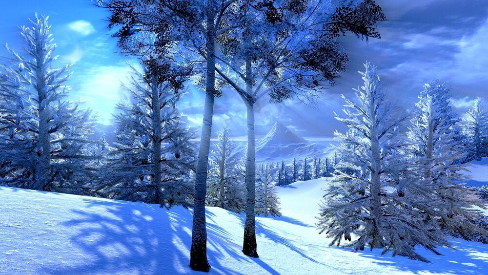 Картинки красивые леса и природы зимой (67 фото) » Картинки и статусы про  окружающий мир вокруг