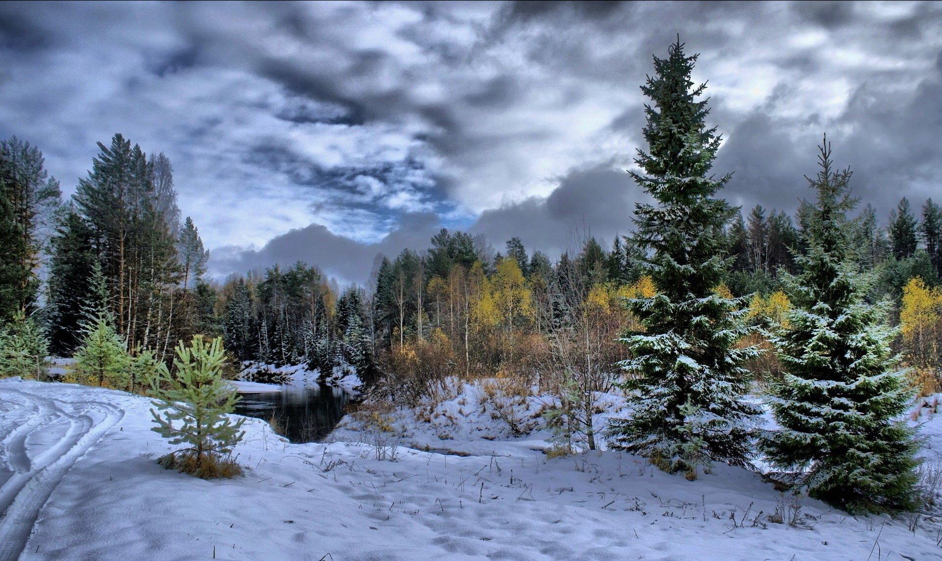 Зимний лес, вид сверху Обои 1920x1080 Full HD (Full High Definition)