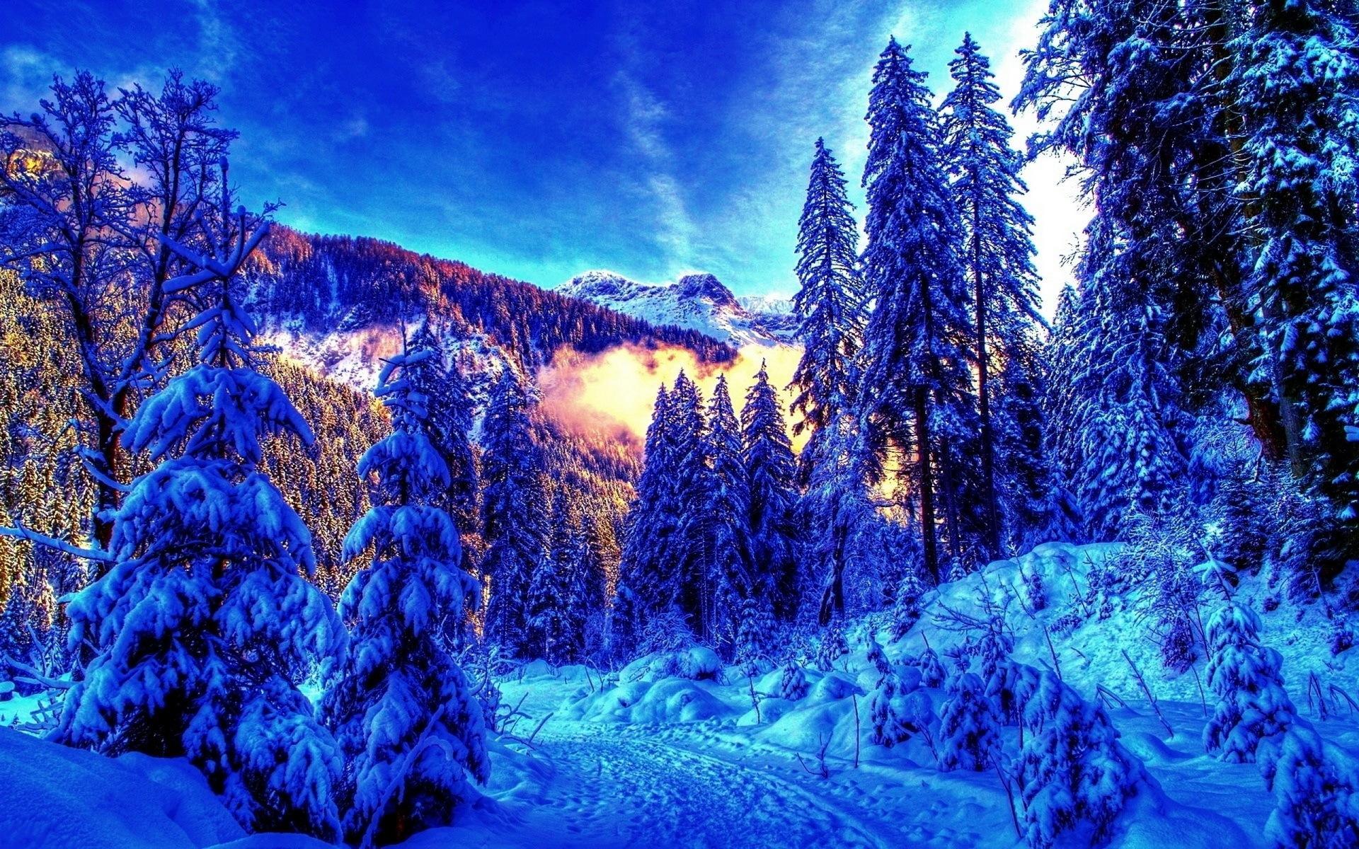 Зимний лес солнце (56 фото) - 56 фото