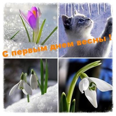 Первый день весны: поздравления, открытки и смс, Обозреватель | OBOZ.UA