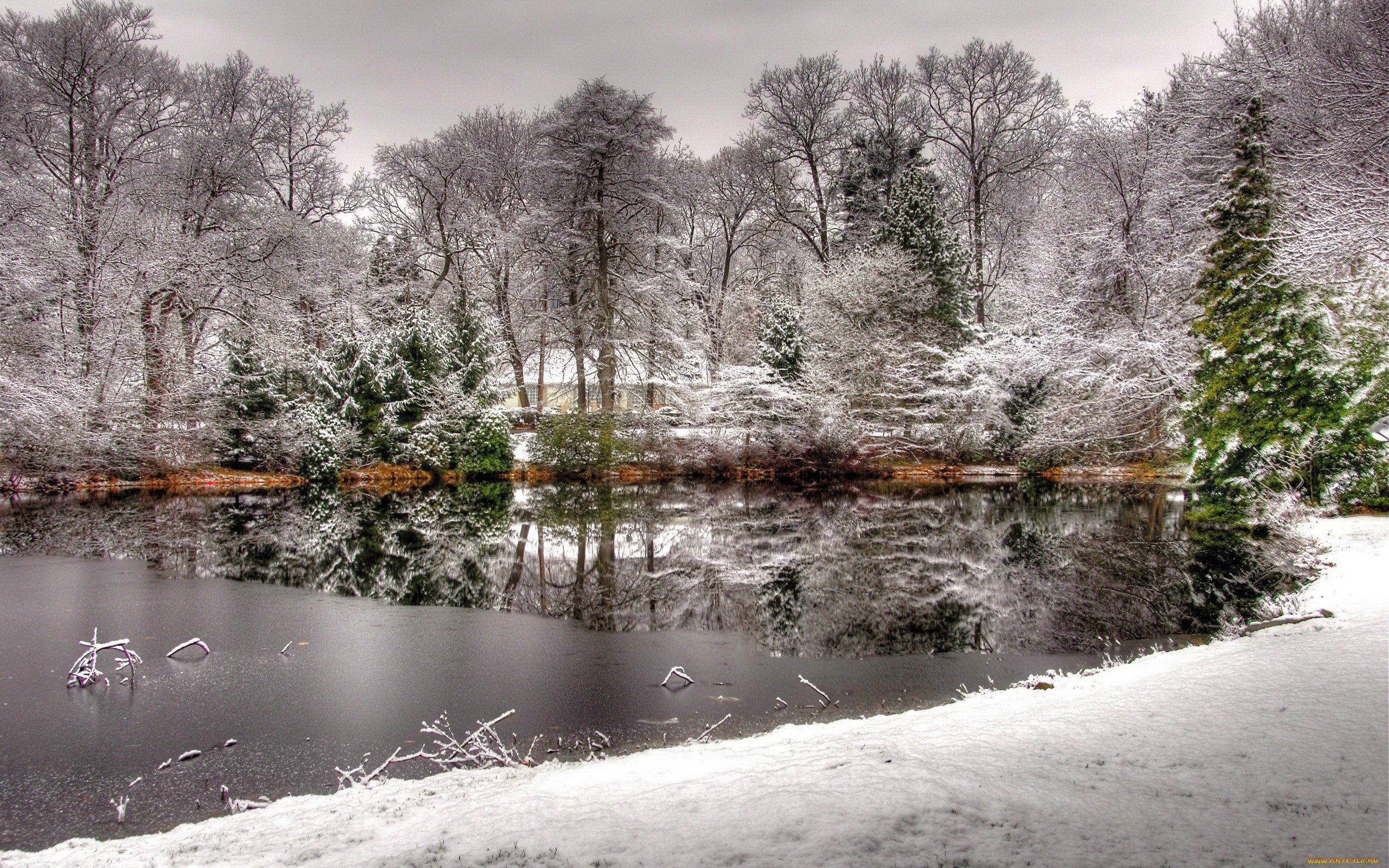 Картинки на тему #зима_и_снег - в Шедевруме