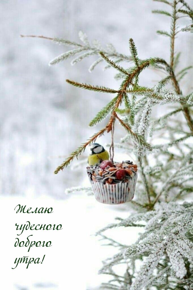 Зима пришла! Настольная игра для уютных посиделок - МНОГОКНИГ.lv - Книжный  интернет-магазин