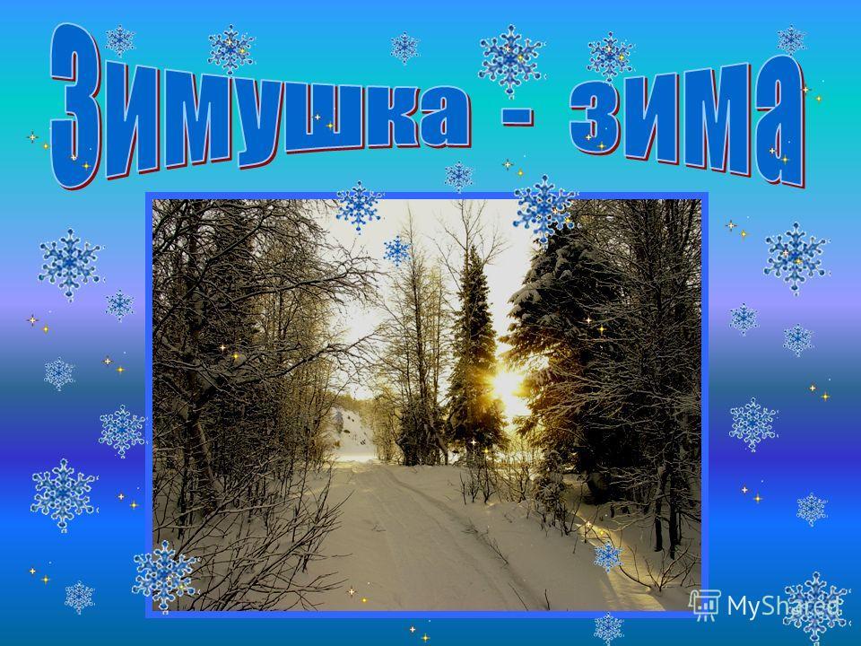 Снегопад в Петербурге продлится еще несколько дней, но интенсивность  снизится - 23 ноября 2023 - ФОНТАНКА.ру