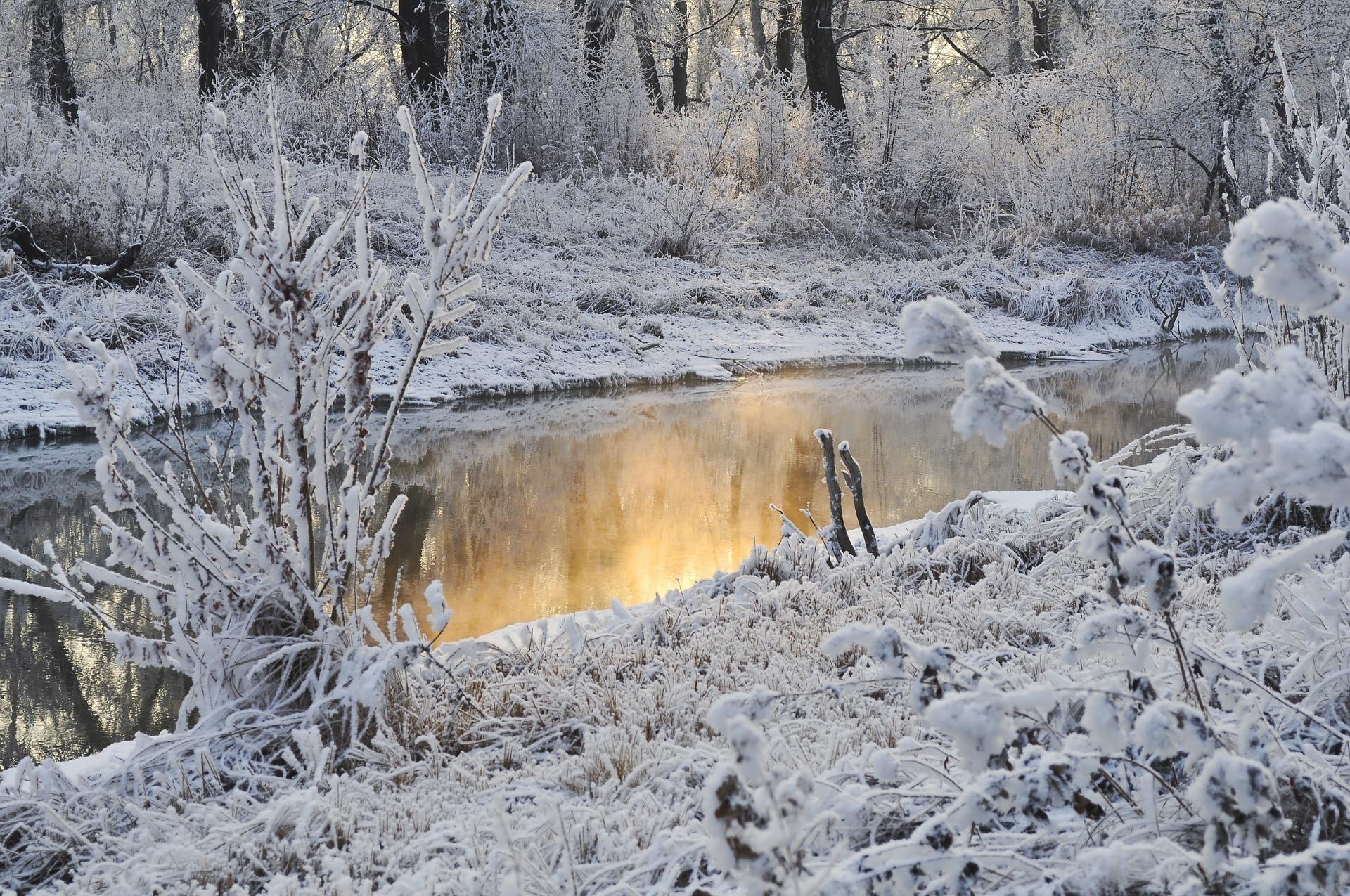 В Эстонии наступила астрономическая зима | Stolitsa.ee - новостной портал  города Таллинн