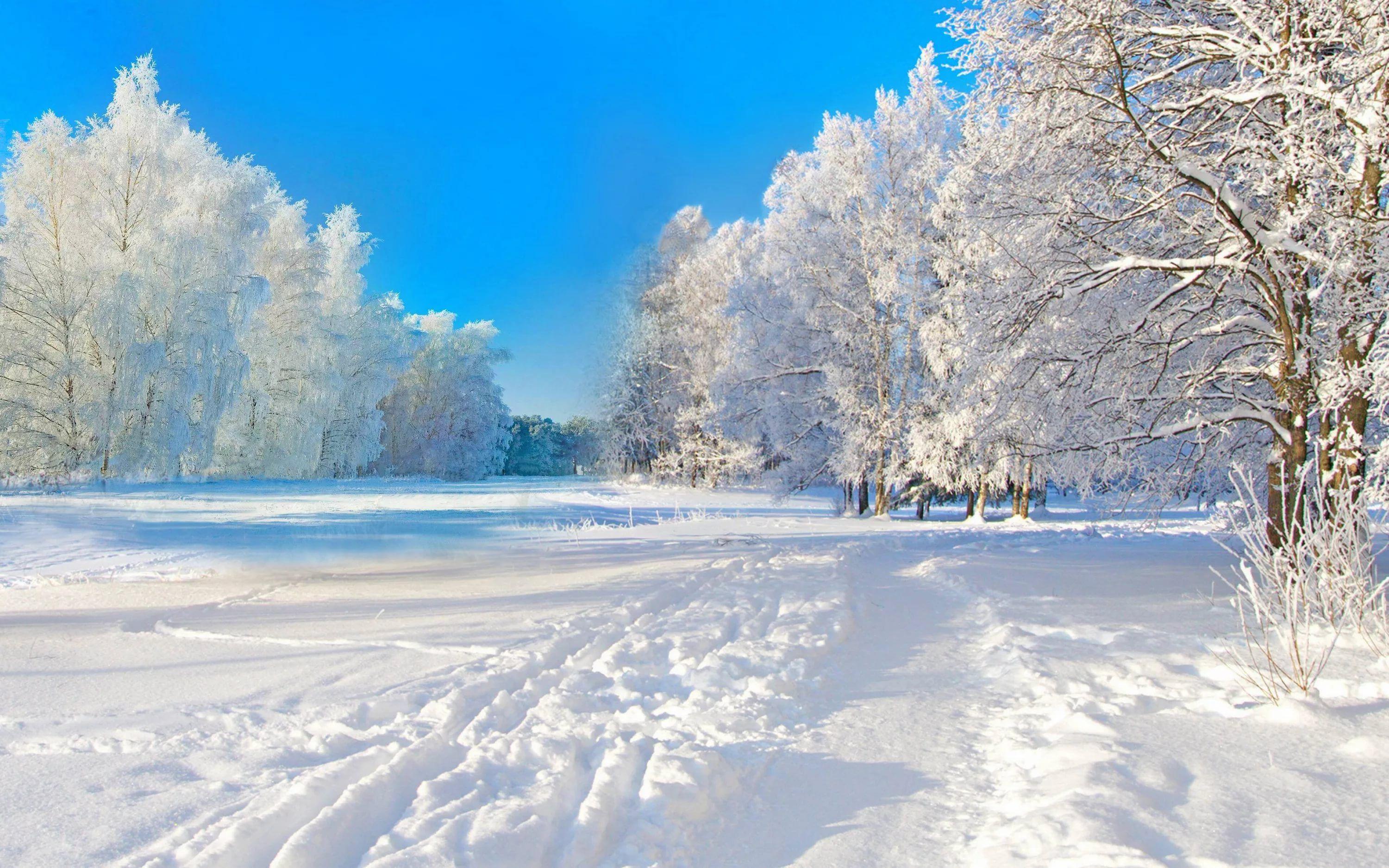 заставка на экран компьютера зима: 13 тыс изображений найдено в  Яндекс.Картинках | Fotos invierno, Paisaje nieve, Paisaje invernal