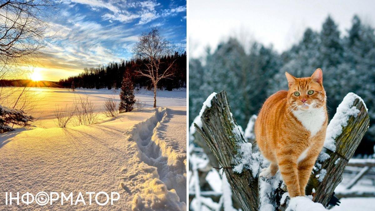 10 причин любить зиму - Интересно - Статьи - Сетевое издание «ПокачиИнформ»