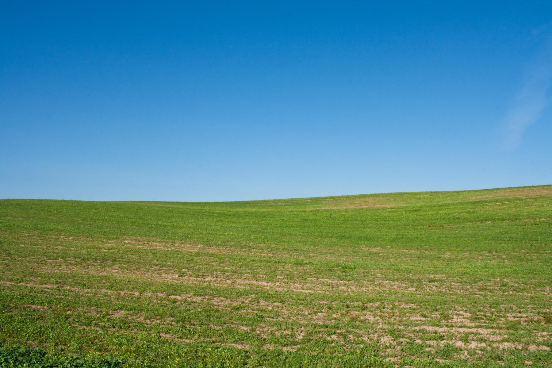 Бесплатное изображение: Голубое небо, пейзаж, дерево, природа, трава, поле,  луг, земля