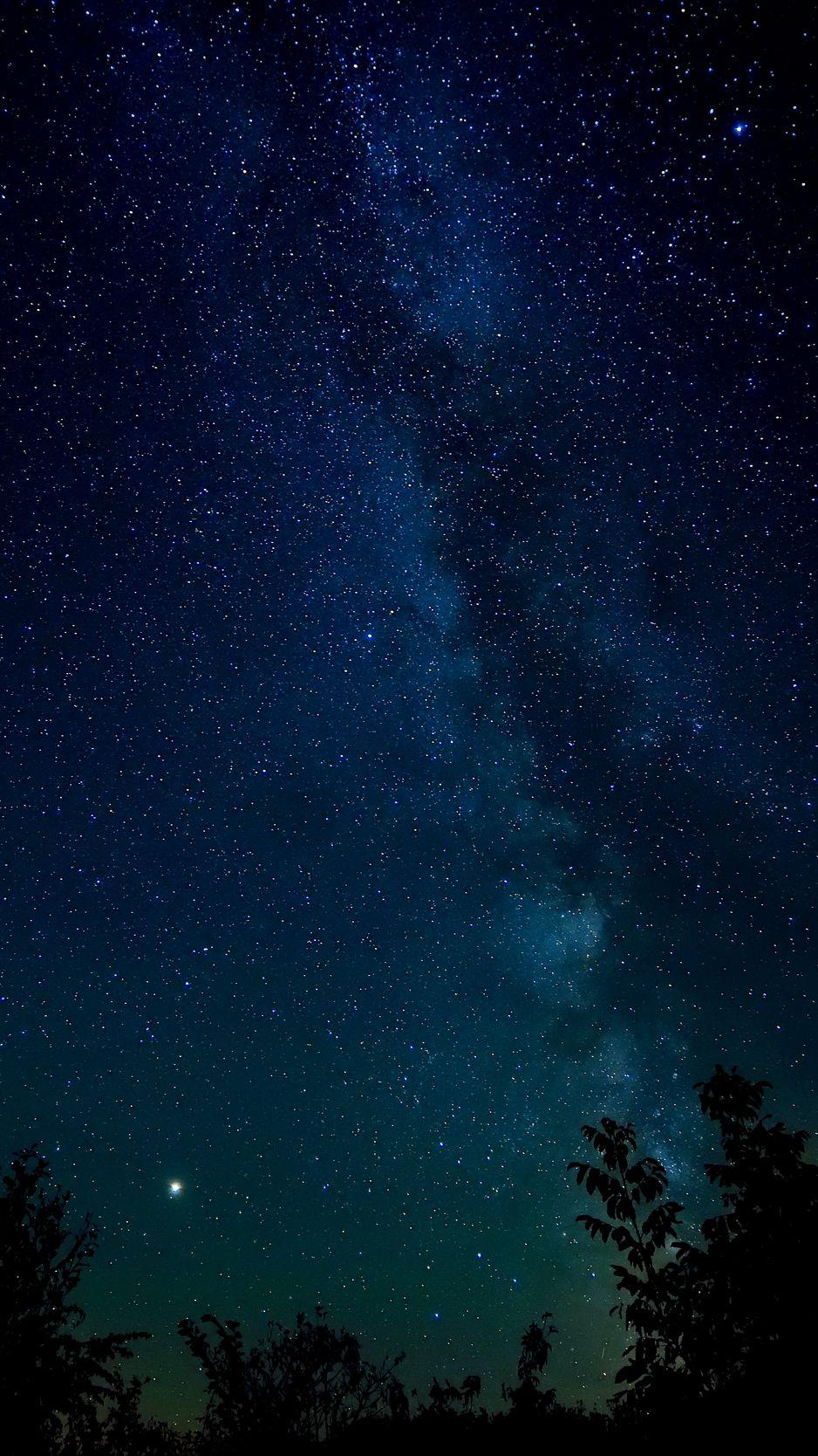 ночная сцена в лесу звездное небо, ночной вид, лес, звездное небо фон  картинки и Фото для бесплатной загрузки
