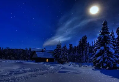 Ночь зима (42 фото)