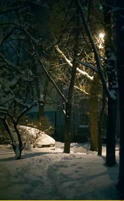 Сценарная предпосылка природы ночи зимы Стоковое Фото - изображение  насчитывающей свеже, фонарик: 132756288