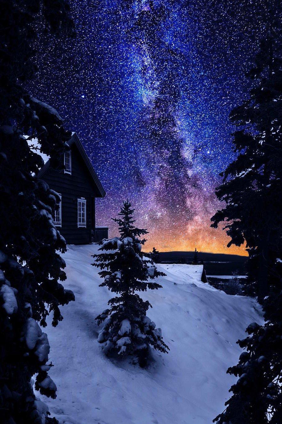 Пейзаж ночной зимы луны, медведь …» — создано в Шедевруме