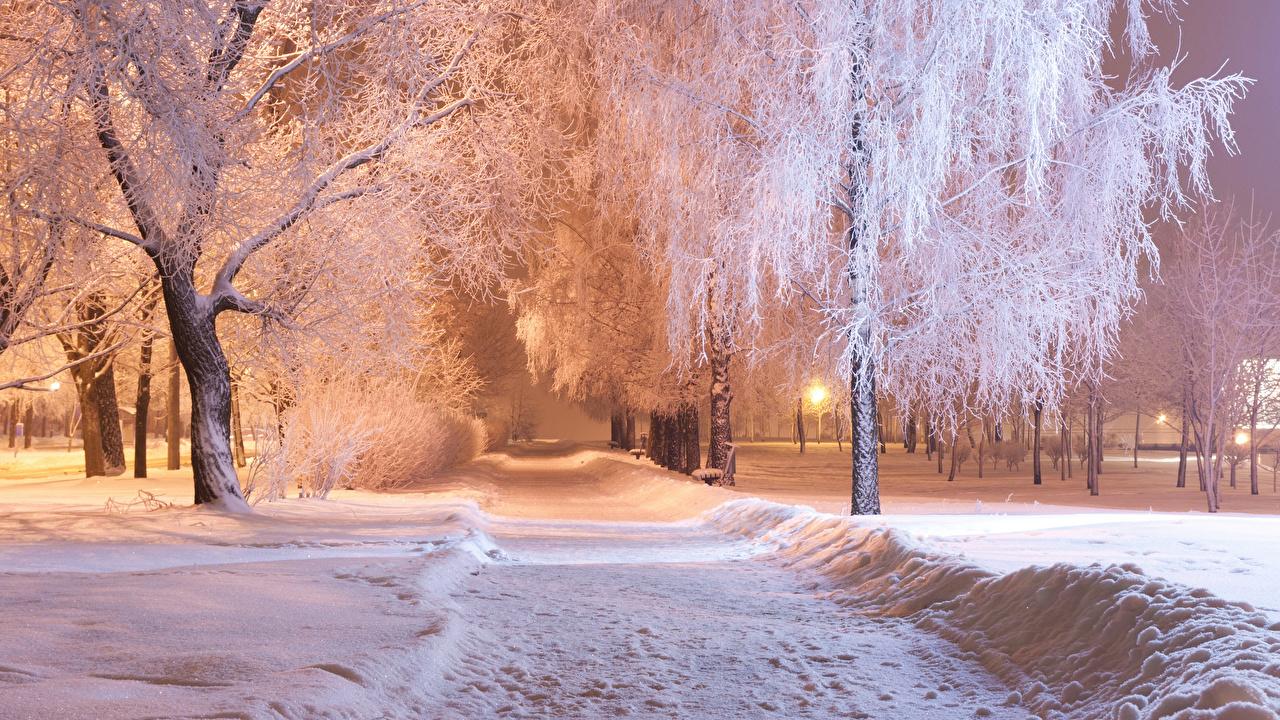 Картинки Зима парк снегу Ночь город Деревья