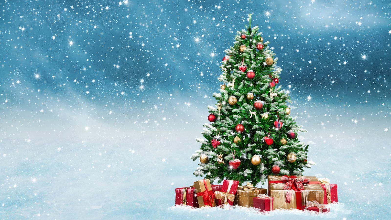 Обои \"Зима и Новый год\" на рабочий стол: самые яркие! | Christmas tree  images, Beautiful christmas, Beautiful christmas trees