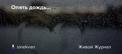 И опять дожди говорят: „Подожди…“ | ЗНАМЯ ОКТЯБРЯ - Новостной сайт  Добровского района