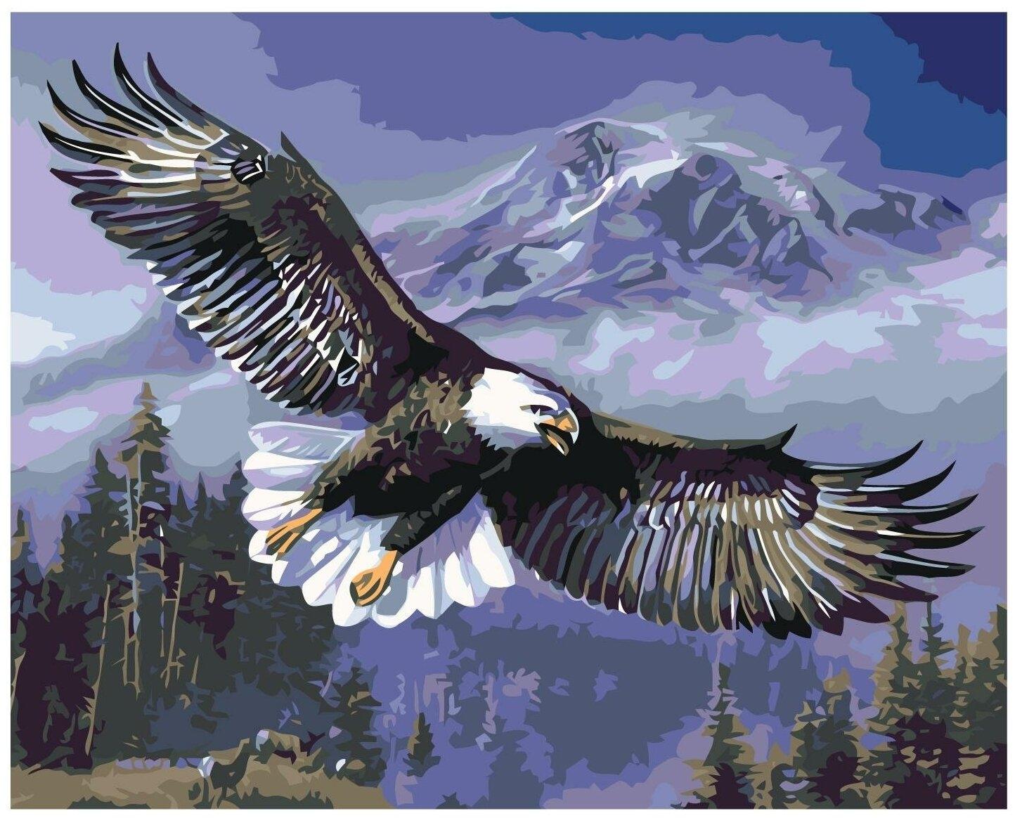 Парящий орел рисунок - 75 фото