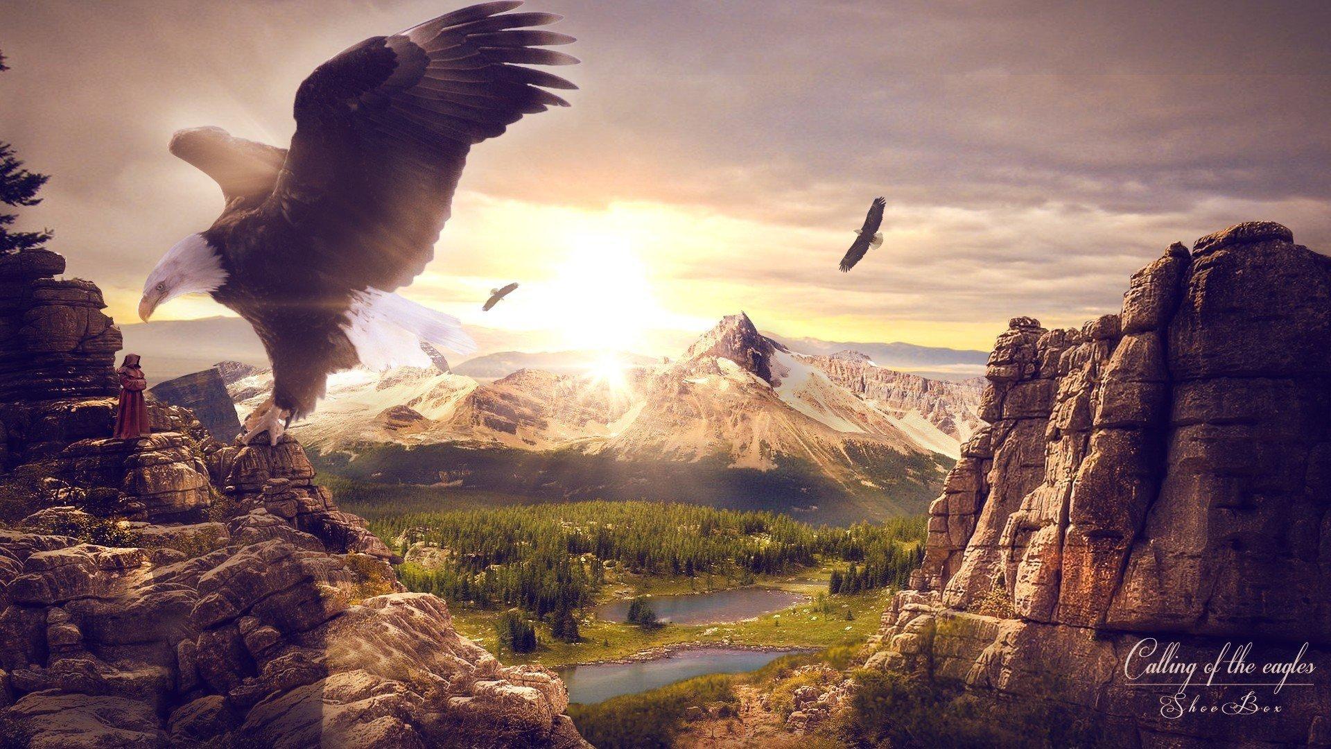 Картинки орел в небе со смыслом (69 фото) » Картинки и статусы про  окружающий мир вокруг