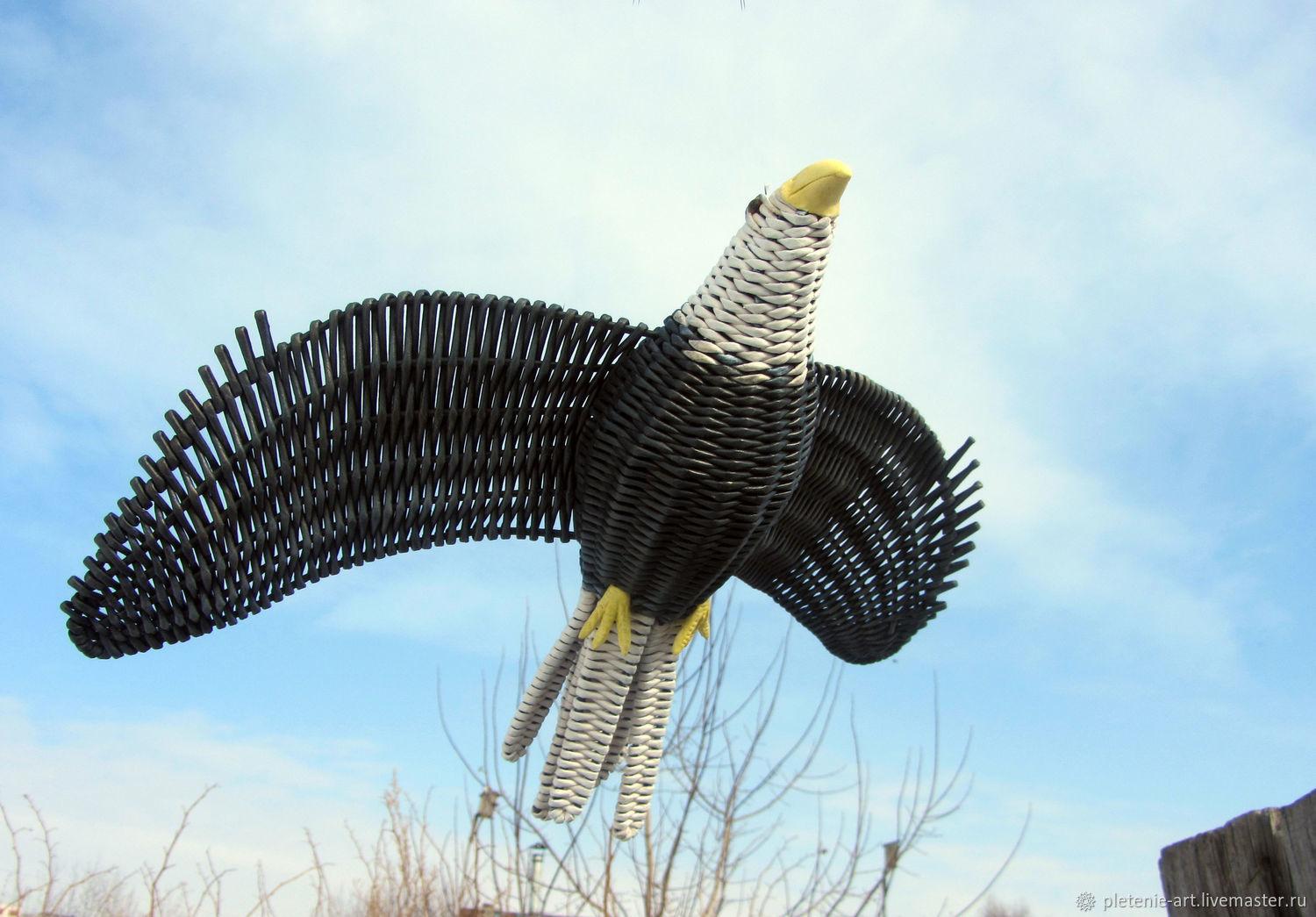 Лысый орел взлетает в небе с широко развернутыми крыльями. | Премиум Фото