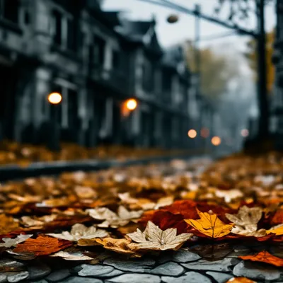 Осенний фон, желтые опавшие листья, мокрые после дождя на тротуаре.  перспектива, низкий угол обзора, выборочный фокус в середине изображения. |  Премиум Фото