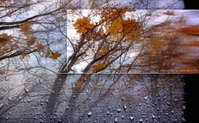 Осенние листья в луже. Погода дождливая осень. Фон осени Стоковое Фото -  изображение насчитывающей конспектов, ветрено: 198845864