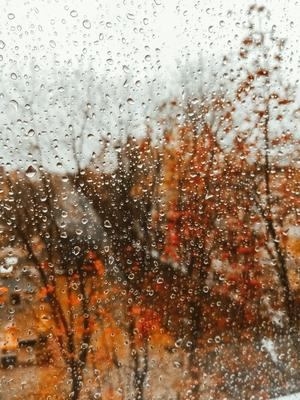 Осень дождь листья счастье радость …» — создано в Шедевруме