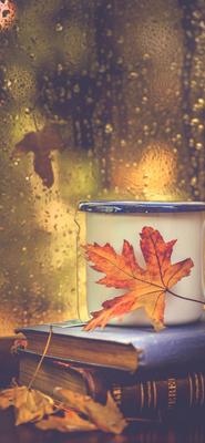 Осенние настроение!!! | Vintage flowers wallpaper, Fall wallpaper, Autumn  photography