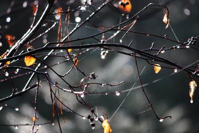Дождливая осень картинки - 53 фото