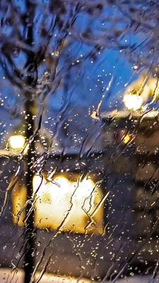 Поздняя осень дождь (92 фото) - 92 фото