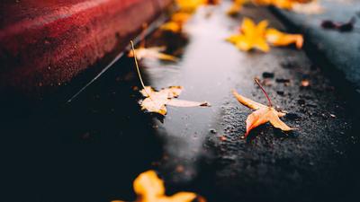 Картинки осень дождь на телефон фотографии