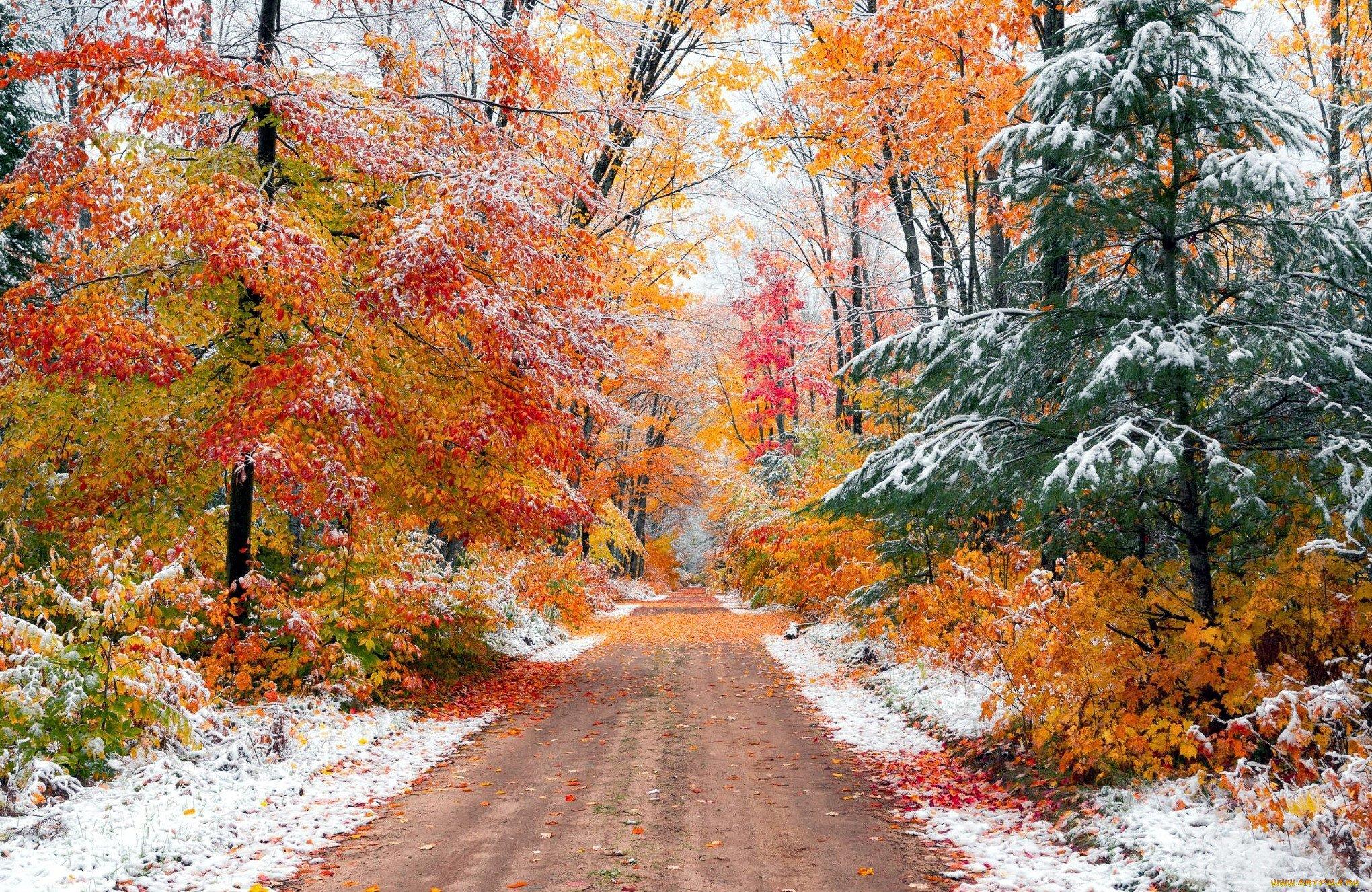 Картинки осень зима природа фотографии