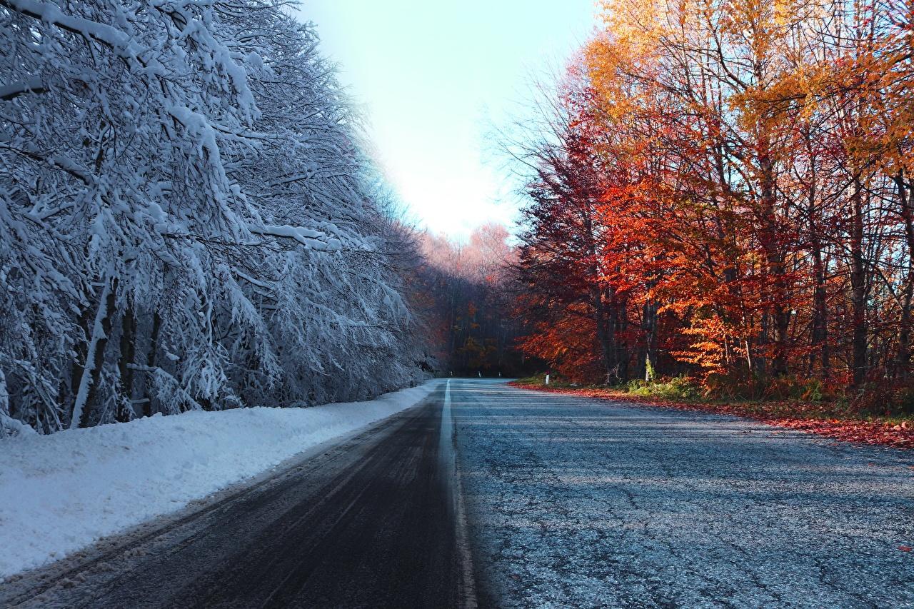 Граница осень-зима | Пейзажи, Осенние картинки, Природа