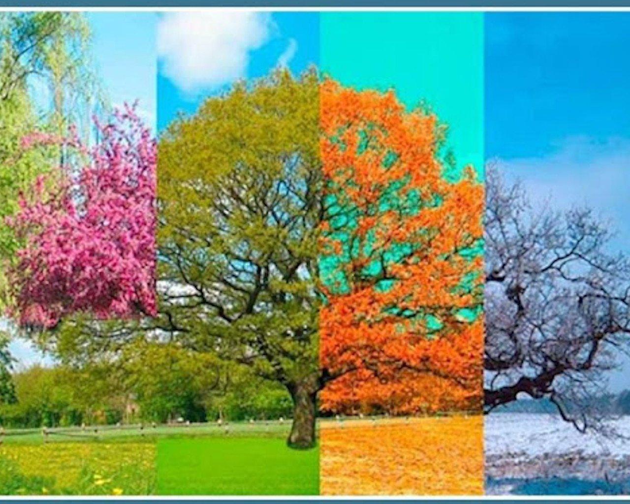 Картинки времена года зима весна лето осень природа (63 фото) » Картинки и  статусы про окружающий мир вокруг
