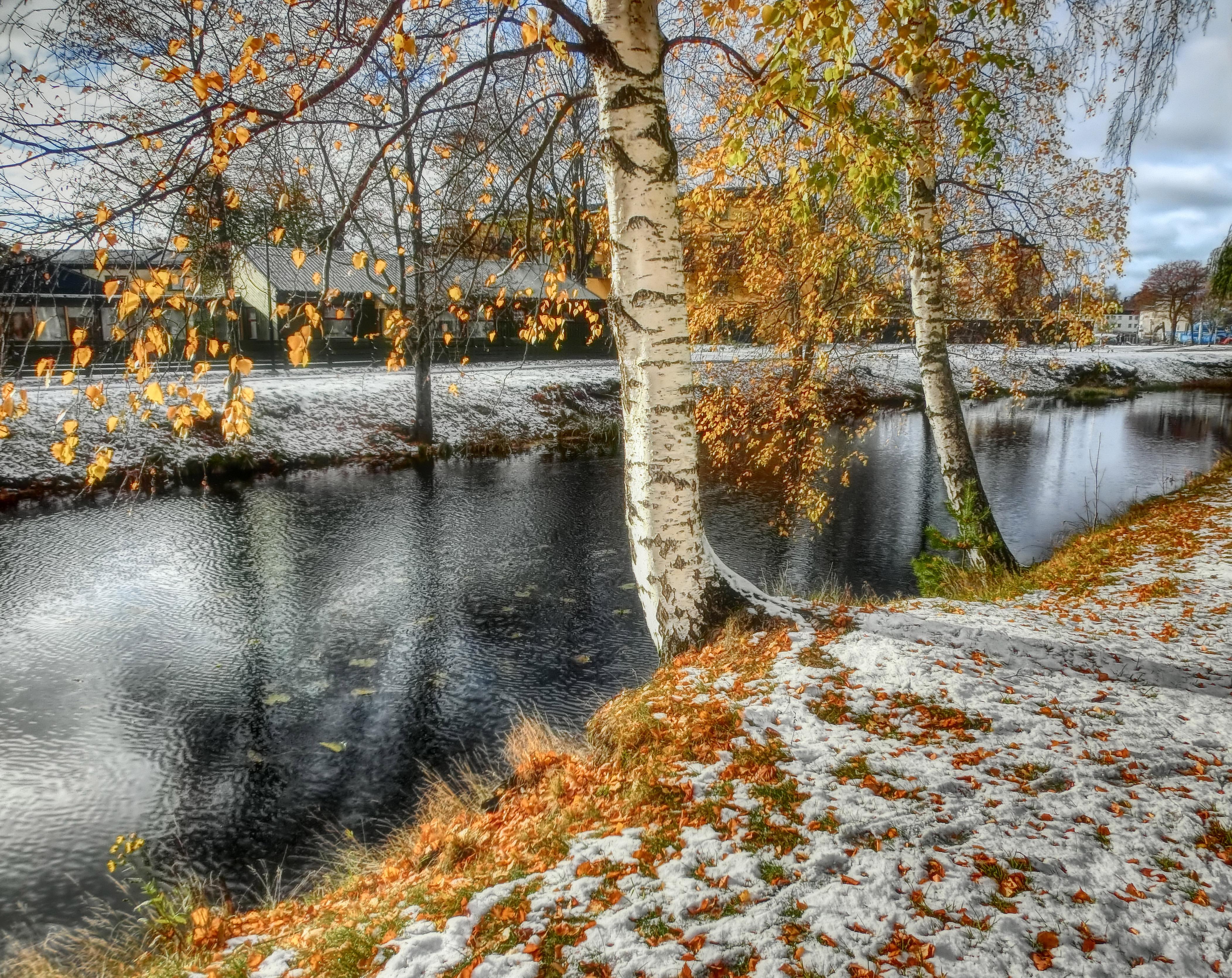 Из осени в зиму. Photographer Martinenko Dmitriy