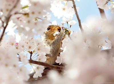 Анастасия Малкова - Февраль - это когда ночью зима, ❄а днём весной пахнет😍  . Ещё немного и весна 🌸 . Поделитесь,какое время года ваше любимое😊и  почему 😉 . #мысливслух📚 #девиздня🚀 #скоровесна🌸 #тепловдуше🌞  #люблюжизнь❤ #мирвокругнас🌎 #природа ...