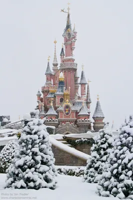 Улицы Парижа в снежном убранстве: 4K изображения | Париж в снегу Фото  №1368895 скачать
