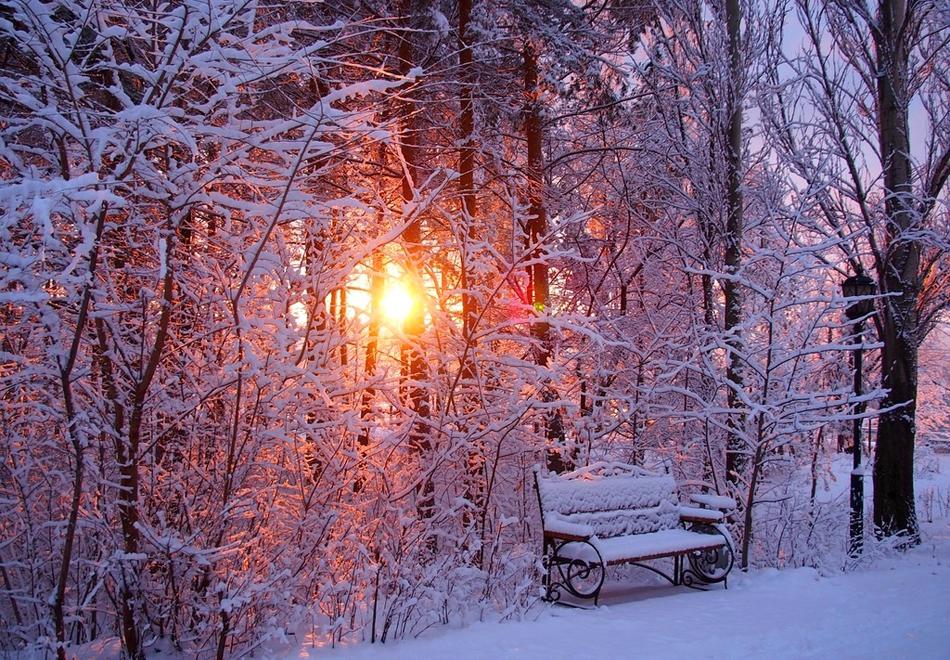Потрясающие фотографии зимней природы