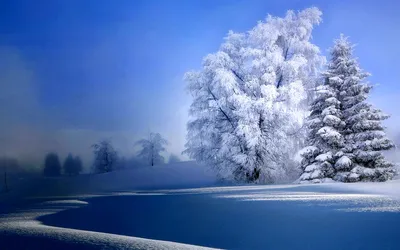 Зима - красивые картинки (85 фото)