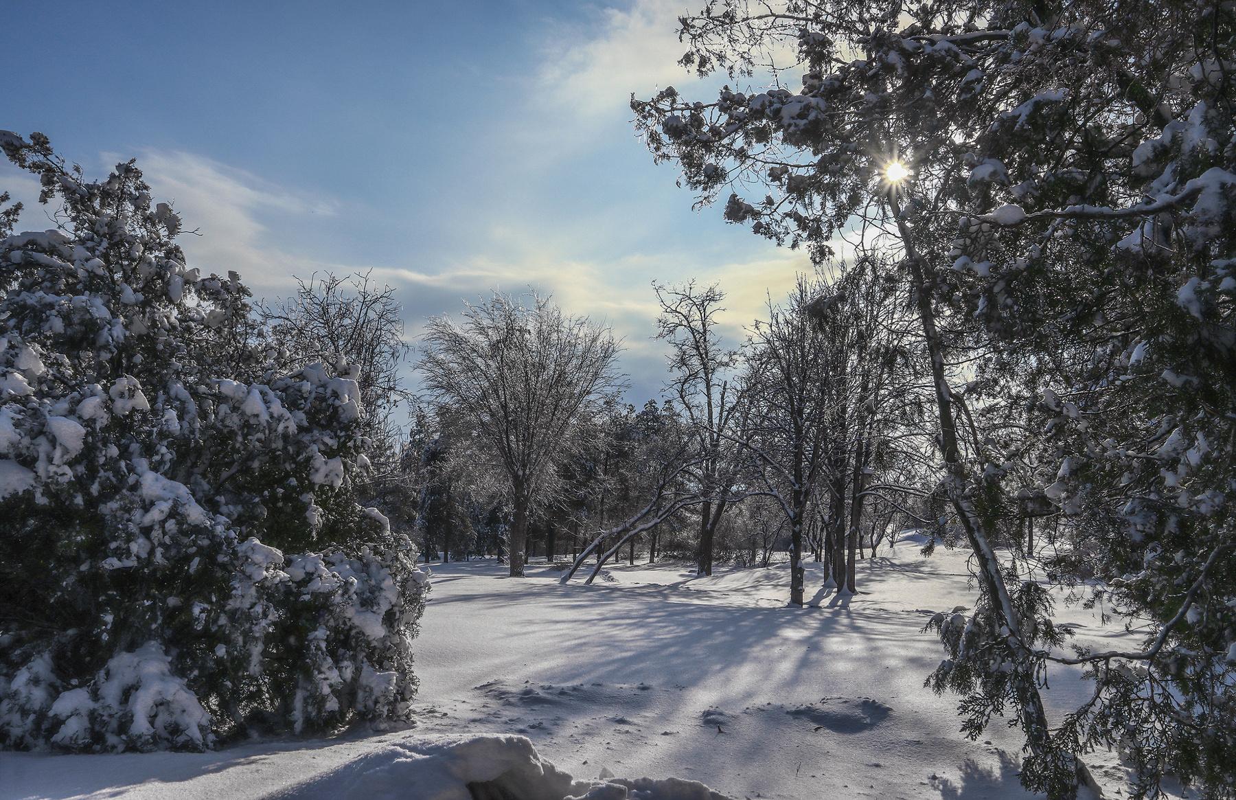 Фотография Зимний день из раздела природа #7117970 - фото.сайт - sight.photo