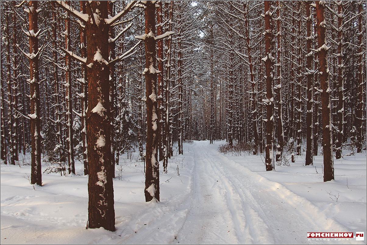 Морозная симфония: GIF рисунки природы зимой | Красивый зимний пейзаж Фото  №1384284 скачать