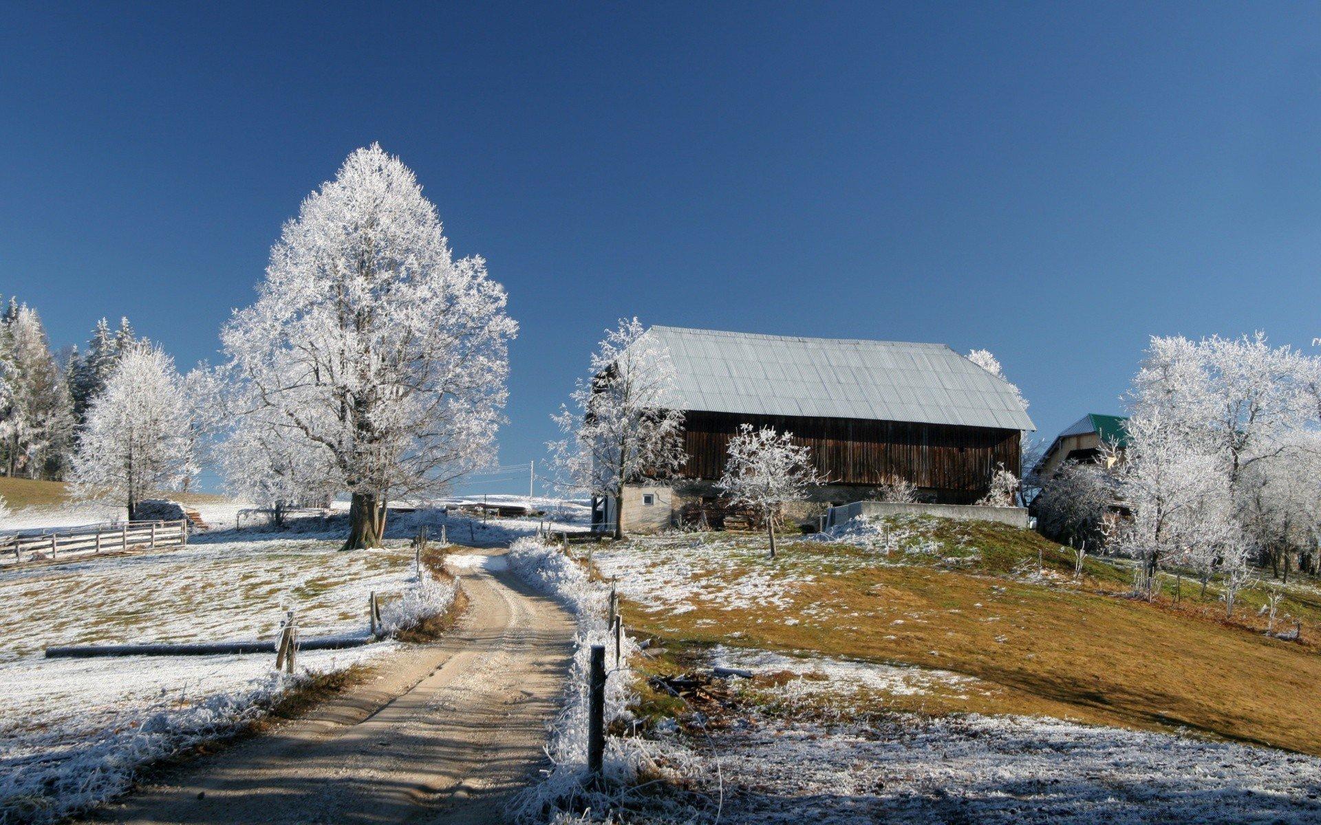 Картинки зимние первый снег (70 фото) » Картинки и статусы про окружающий  мир вокруг
