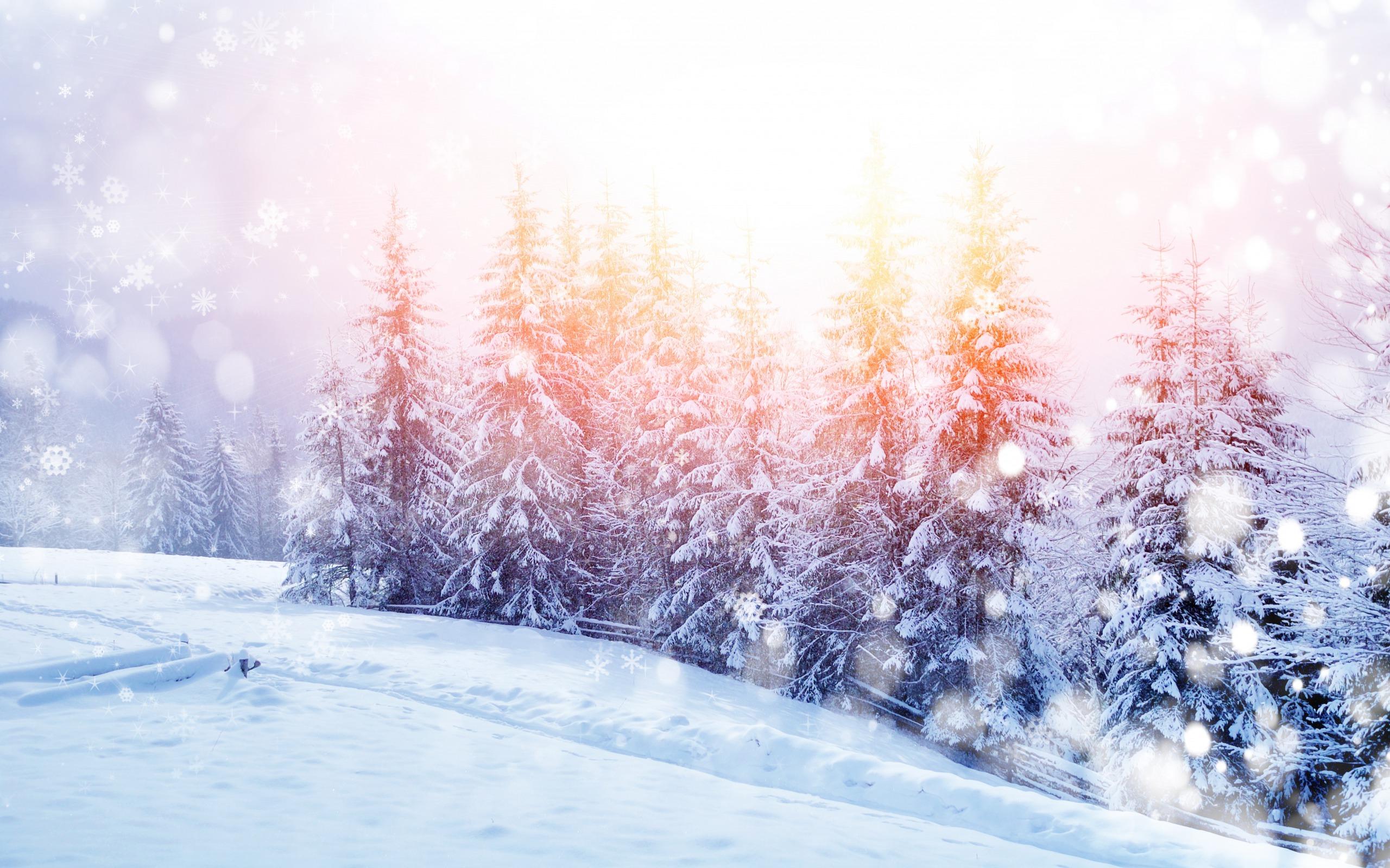 Картина по номерам \"Первый снег\" (400х500 мм) OZ : купить в  интернет-магазине — OZ.by