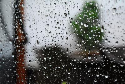 Погода: дождь ожидается на протяжении всей недели - Delfi RU