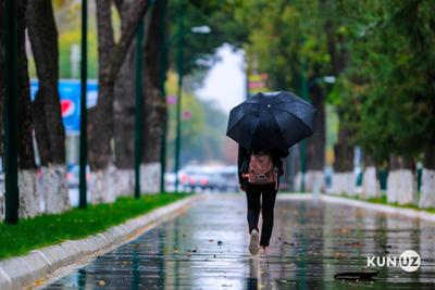 Дождь, гроза и пыльная буря: синоптики рассказали о погоде в выходные